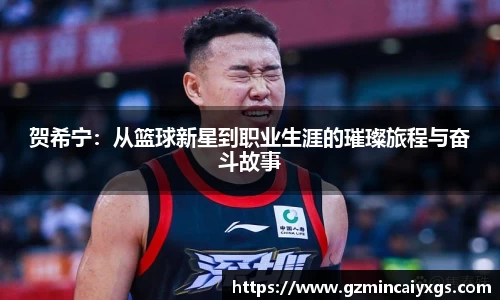 谈球吧贺希宁：从篮球新星到职业生涯的璀璨旅程与奋斗故事